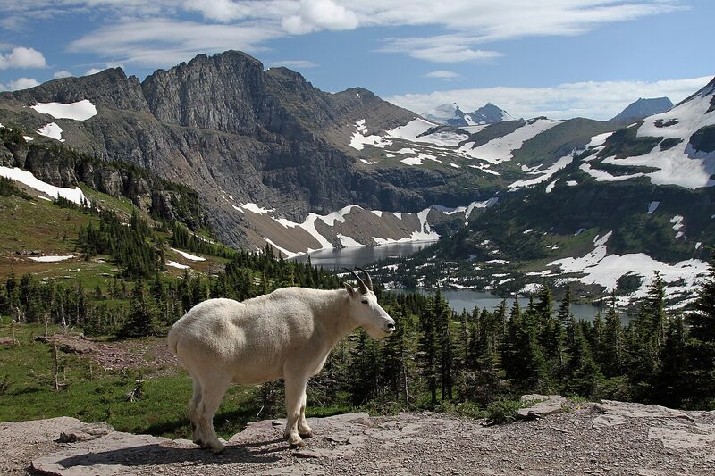 Montana — region the USA